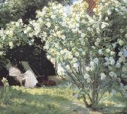 Peder Severin Kroyer Roses Garden in Skagen (nn02) oil painting